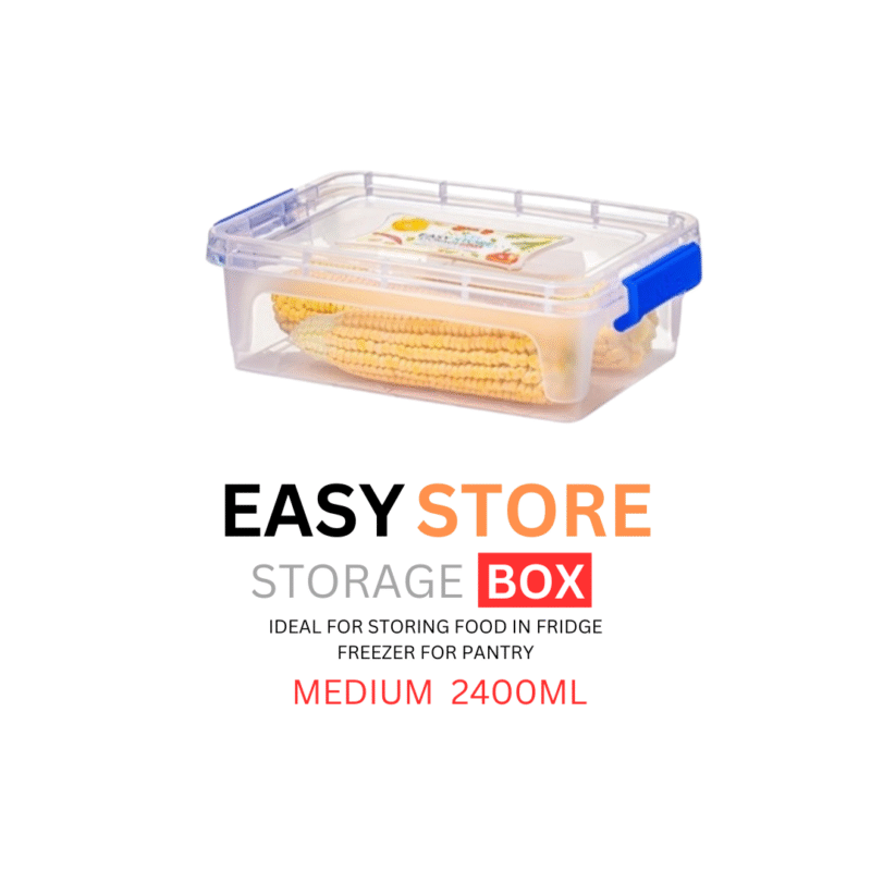 STORAGE BOX MEDIUM