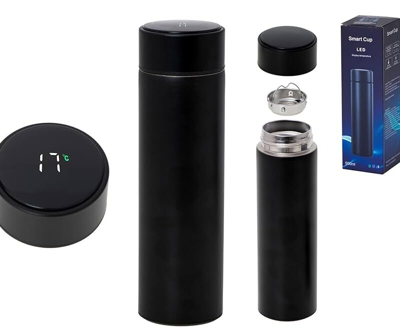 Stainless Steel Temperature Display Water Bottle